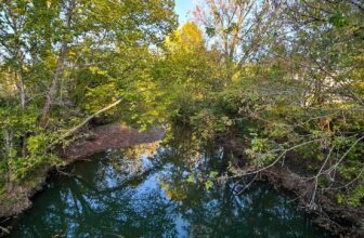 The Little Things Newsletter #438 – Life, laughter, and lots of great food!